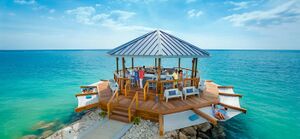 Latitude bar full 6776619d-ceb9-429a-8e32-bc887d2dec2f.jpg